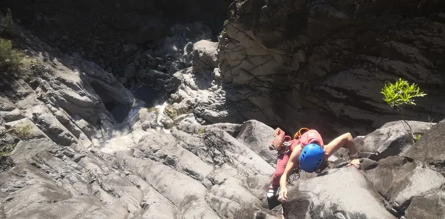 Cours adulte Fleur Jaune Cilaos